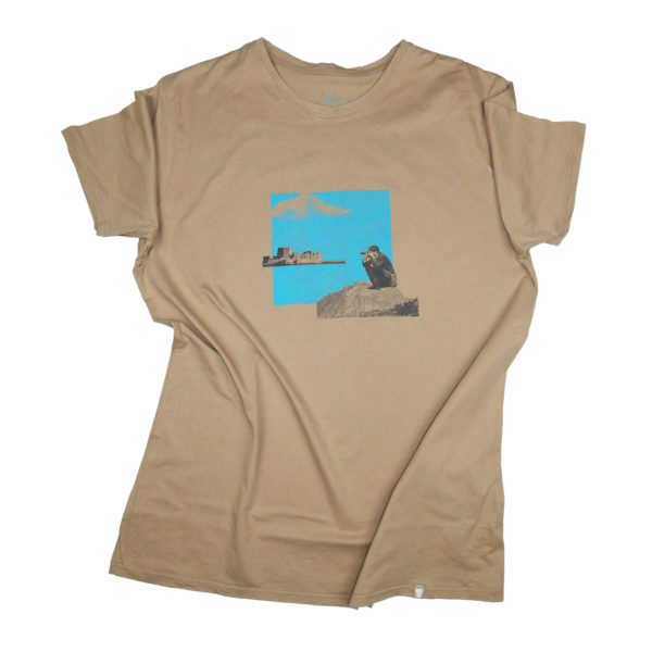 Traveler - M_1 Traveler - M_1